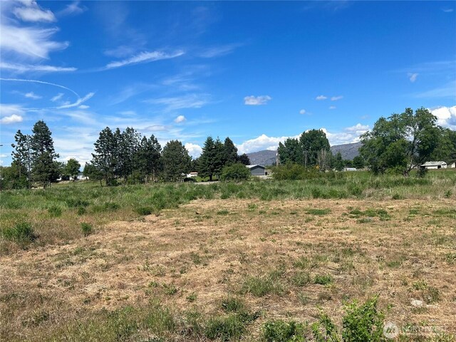38 Miller Rd, Omak, WA 98841 - photo 25