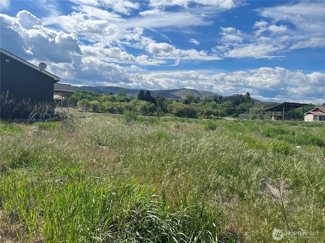 38 Miller Rd, Omak, WA 98841 - photo 26