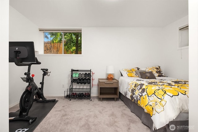 10504 Dixon Dr S, Seattle, WA 98178 - bedroom featuring carpet floors