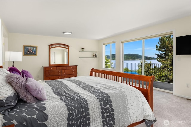 10504 Dixon Dr S, Seattle, WA 98178 - bedroom featuring access to outside and carpet