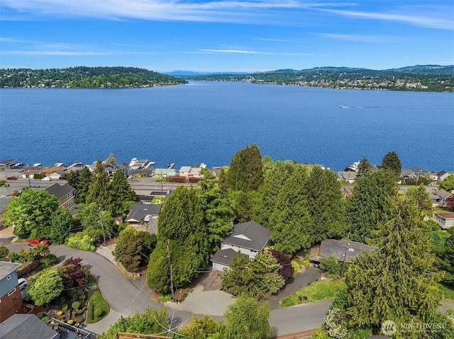 10504 Dixon Dr S, Seattle, WA 98178 - aerial perspective of suburban area featuring a nearby body of water