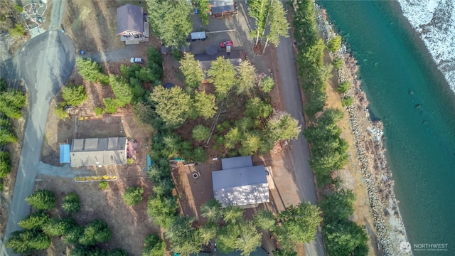 104 Jack Fir Ct, Packwood, WA 98361 - aerial view
