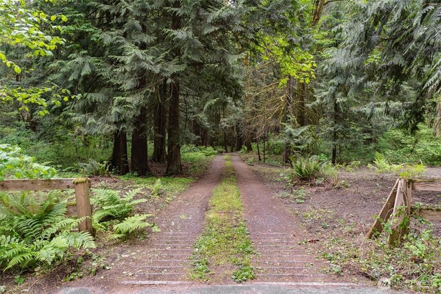 3246 Goshen Rd, Bellingham, WA 98226 - view of dirt / gravel road featuring a forest view