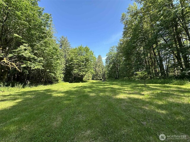 3246 Goshen Rd, Bellingham, WA 98226 - view of grassy yard with a wooded view