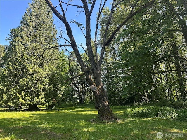 3246 Goshen Rd, Bellingham, WA 98226 - view of green lawn