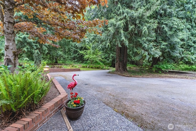 3246 Goshen Rd, Bellingham, WA 98226 - view of community