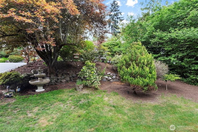view of grassy yard