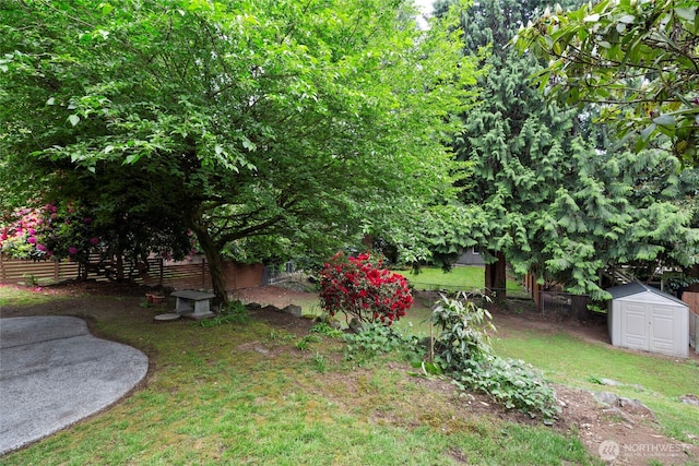 view of yard featuring a storage shed and an outdoor structure