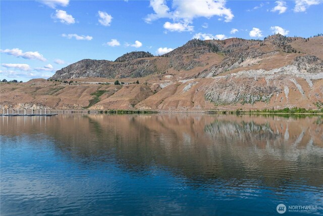 179 N Shore Dr, Orondo, WA 98843 - water view with a mountainous background