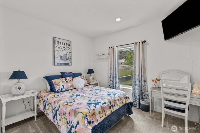 179 N Shore Dr, Orondo, WA 98843 - bedroom with carpet floors and recessed lighting