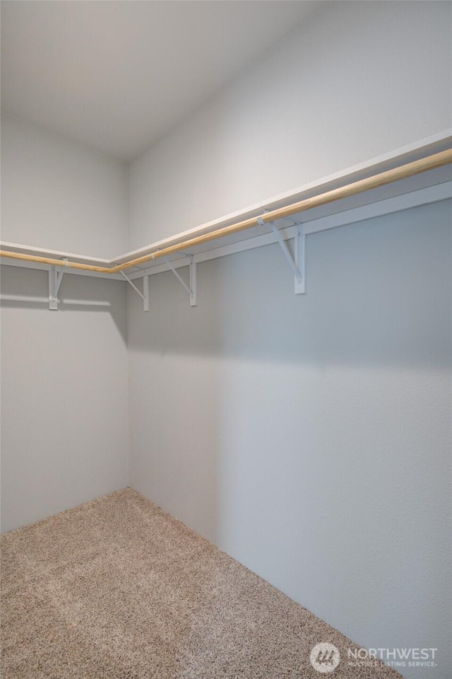 114 Mark Ct SE, Ocean Shores, WA 98569 - spacious closet with carpet floors