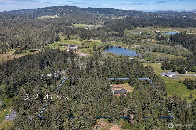 591 Wold Rd, Friday Harbor, WA 98250 - aerial view of property's location with a forest and a water and mountain view
