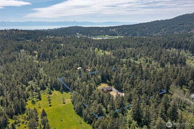 591 Wold Rd, Friday Harbor, WA 98250 - bird's eye view of a heavily wooded area and a mountain backdrop