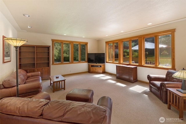 591 Wold Rd, Friday Harbor, WA 98250 - living area featuring light colored carpet, baseboards, and recessed lighting