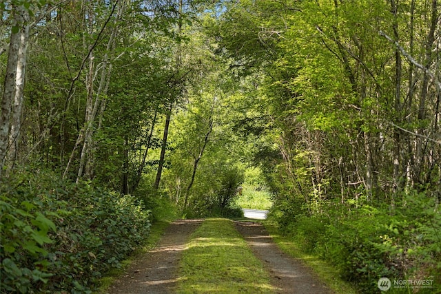 591 Wold Rd, Friday Harbor, WA 98250 - view of dirt / gravel road with a wooded view