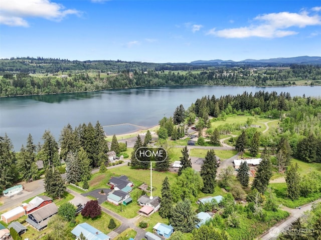 107 Mayfield Cir, Mossyrock, WA 98564 - drone / aerial view of a forest and a nearby body of water