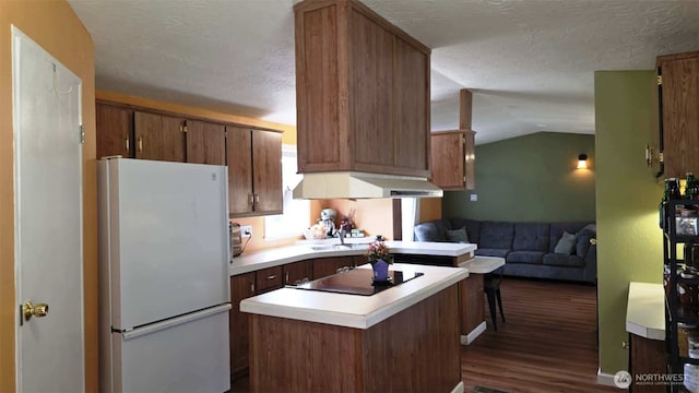 1900 Broadway Ave Unit 2, Hoquiam, WA 98550 - kitchen featuring freestanding refrigerator, black electric stovetop, dark wood finished floors, light countertops, and a textured ceiling