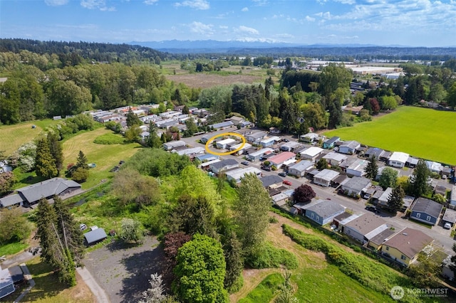 drone / aerial view