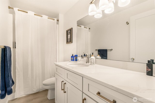 full bathroom featuring wood finished floors, toilet, vanity, and a shower with shower curtain