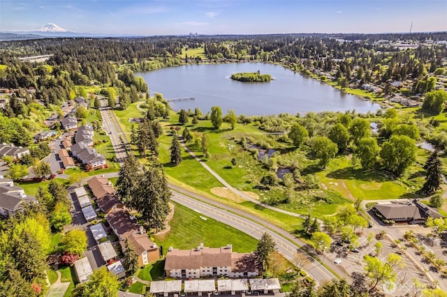 bird's eye view of a large body of water and a heavily wooded area