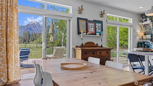 dining area featuring a mountain view, healthy amount of natural light, and wood finished floors