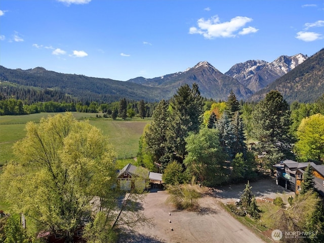 mountain view featuring a heavily wooded area