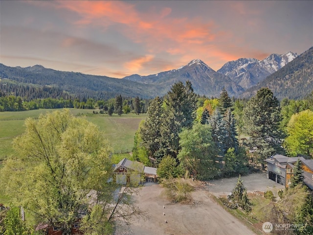 175 Joyful Pl, Leavenworth, WA 98826 - view of mountain backdrop with a heavily wooded area