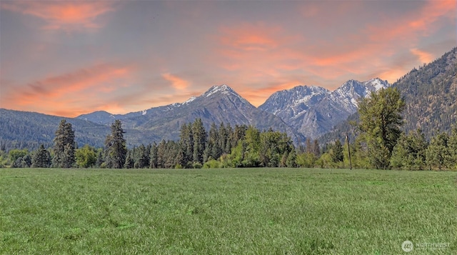 175 Joyful Pl, Leavenworth, WA 98826 - view of mountain backdrop featuring a heavily wooded area