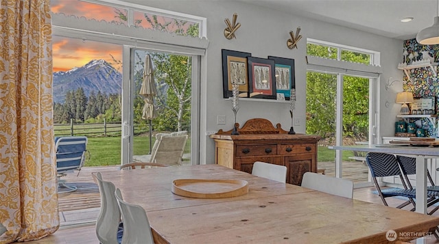 175 Joyful Pl, Leavenworth, WA 98826 - dining room featuring plenty of natural light, a mountain view, and wood finished floors
