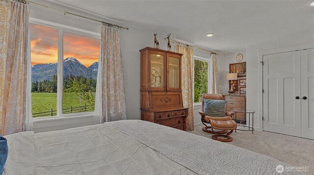 175 Joyful Pl, Leavenworth, WA 98826 - bedroom featuring a mountain view, carpet floors, recessed lighting, and a closet