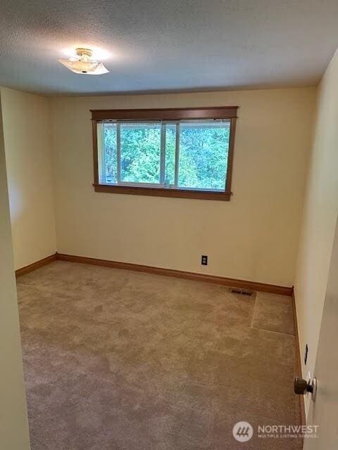 816 Sunrise Ln, Centralia, WA 98531 - spare room with healthy amount of natural light, light carpet, and baseboards