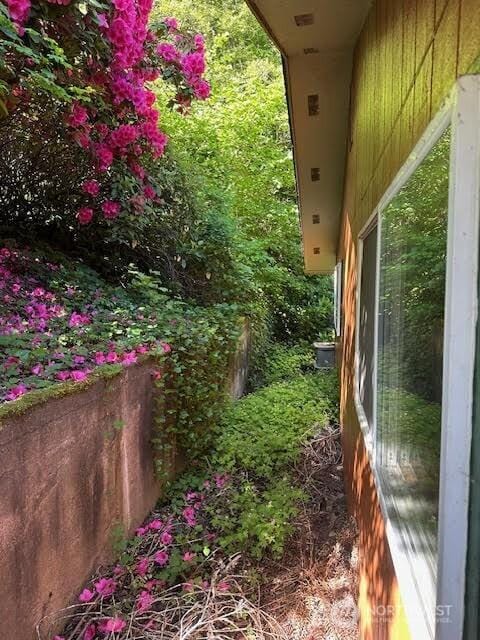 816 Sunrise Ln, Centralia, WA 98531 - view of yard