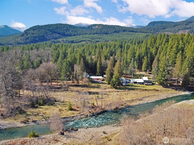 120 Armstrong Ln, Packwood, WA 98361 - photo 1