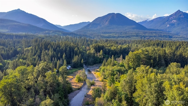 120 Armstrong Ln, Packwood, WA 98361 - photo 6