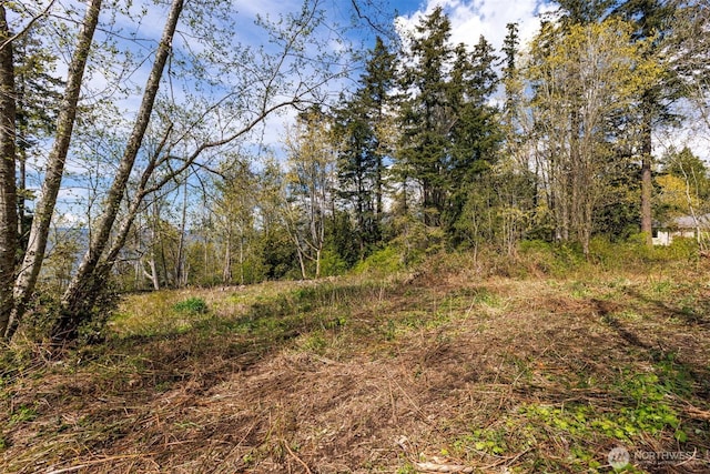 0 Charel Dr, Blaine, WA 98230
