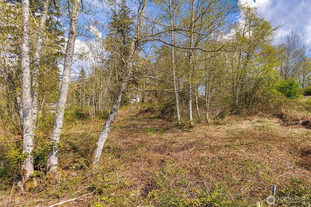 0 Charel Dr, Blaine, WA 98230