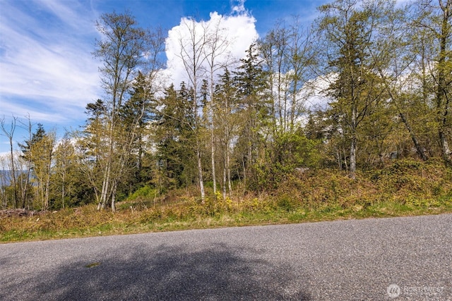 0 Charel Dr, Blaine, WA 98230