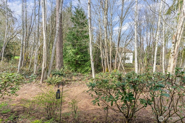 3723 218th Pl SE, Bothell, WA 98021 - view of local wilderness