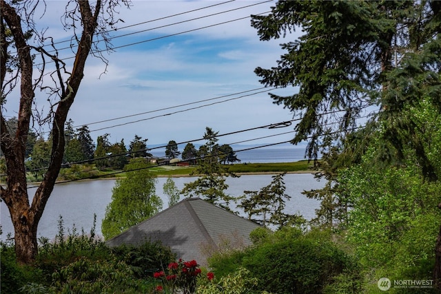 water view