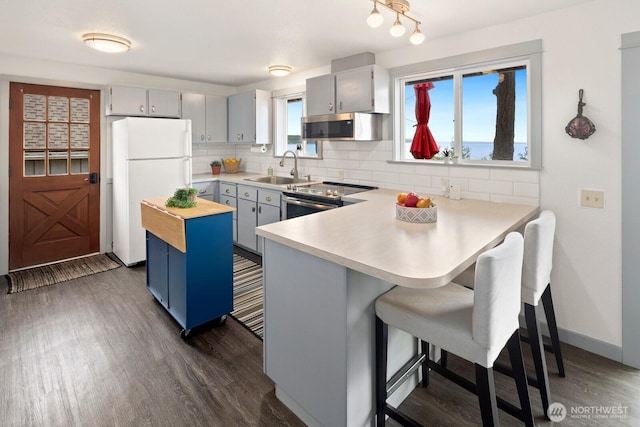 2967 Saratoga Rd, Langley, WA 98260 - kitchen featuring appliances with stainless steel finishes, a sink, a peninsula, and backsplash