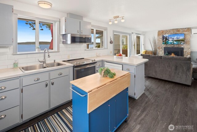 2967 Saratoga Rd, Langley, WA 98260 - kitchen with stainless steel appliances, a sink, a peninsula, decorative backsplash, and open floor plan