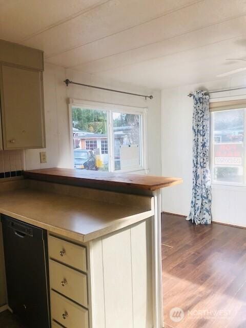 kitchen with dishwasher, plenty of natural light, and wood finished floors