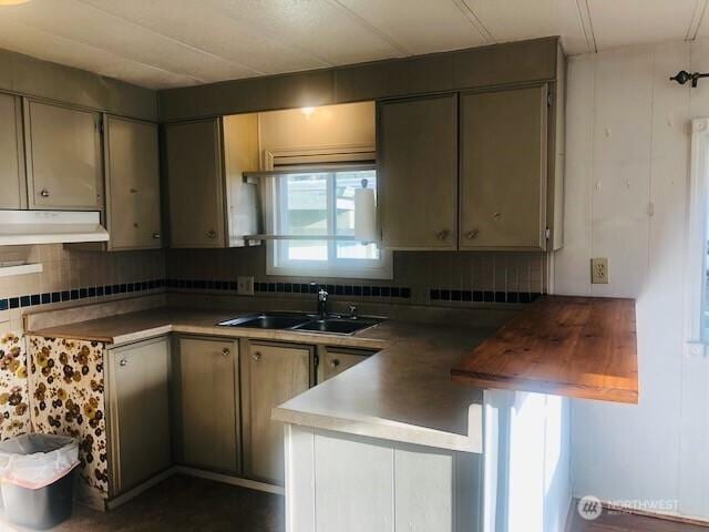 kitchen featuring under cabinet range hood, tasteful backsplash, a sink, and a peninsula