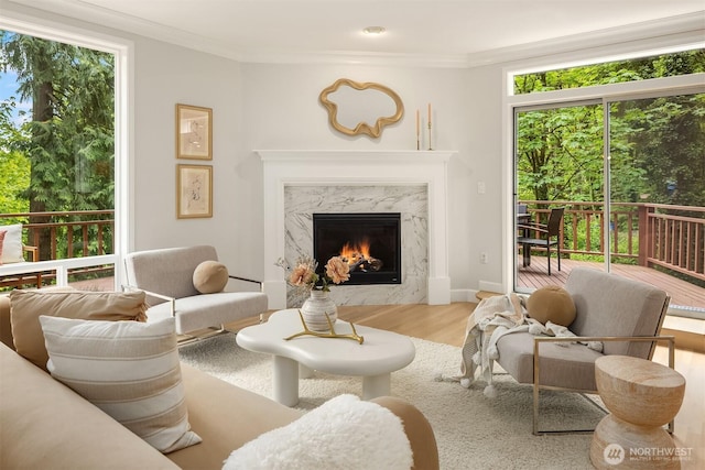living room featuring wood finished floors, a premium fireplace, healthy amount of natural light, and crown molding