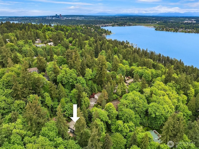 aerial view of a heavily wooded area and a large body of water