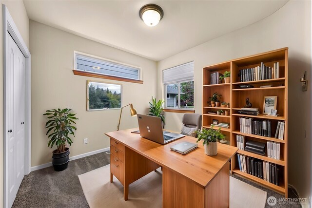 549 E Maberry Dr, Lynden, WA 98264 - carpeted office featuring baseboards