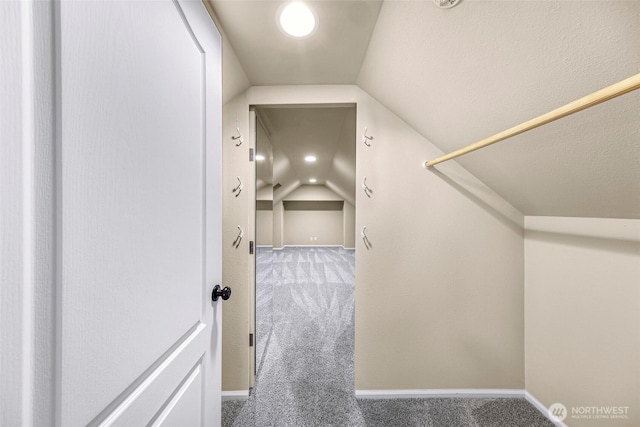 549 E Maberry Dr, Lynden, WA 98264 - walk in closet with carpet and lofted ceiling
