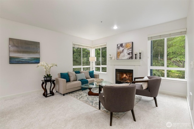 living area with carpet, a glass covered fireplace, baseboards, and healthy amount of natural light
