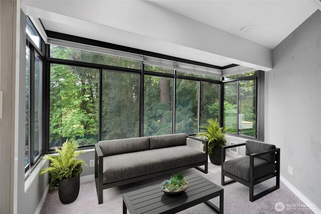 13739 15th Ave NE Unit B9, Seattle, WA 98125 - sunroom featuring carpet floors, plenty of natural light, an outdoor living space, and baseboards