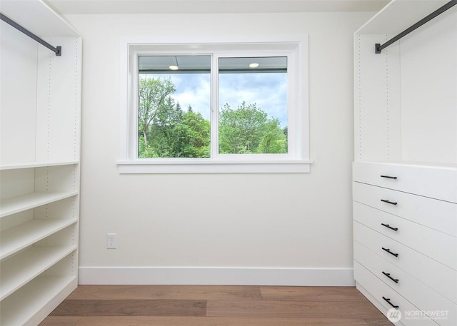 spacious closet featuring wood finished floors
